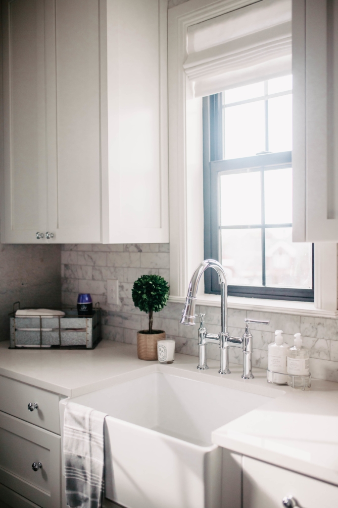 Butler's Pantry + Laundry Room Sink Details With Elkay  Truly Destiny